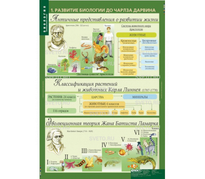 Таблицы "Биология. 10-11 классы. Эволюционное учение" (10 таблиц)
